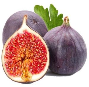 Fresh Fig