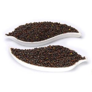 mustard seeds