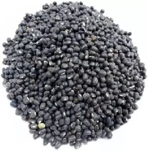 Whole Urad Dal