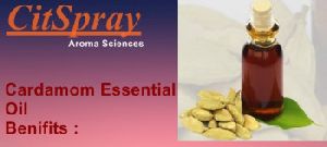 cardamom essential oil