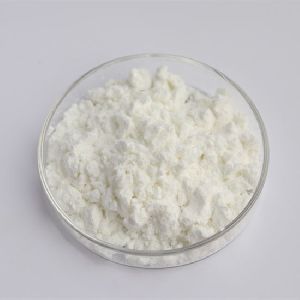 Andrographolide Extract