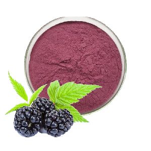 Blackberry Extract