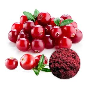 Cranberry Extract