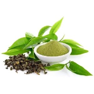 green tea extract