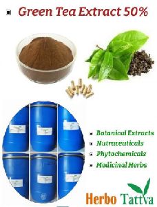 Green Tea Extract 50%-95%