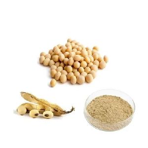 Soy Isoflavone Extract