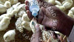 R2B Poultry Vaccine