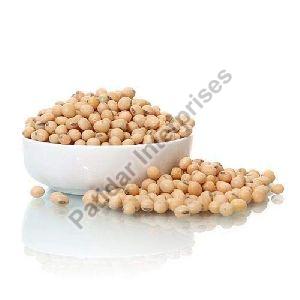High Protein Soybean