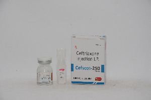 Cefscot-250 Injection