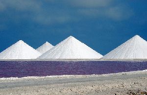 Raw Sea Salt