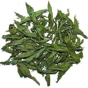 Natural Dried Stevia Leaf