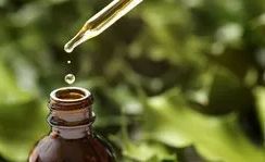 Beta Caryophyllene Oil