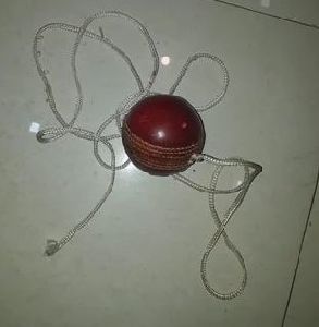 Hanging Cricket Leather Ball