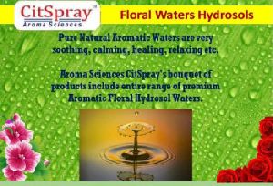 Floral Waters Hydrosols