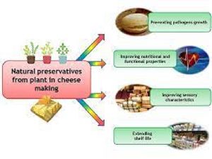 Food Preservative,food preservative