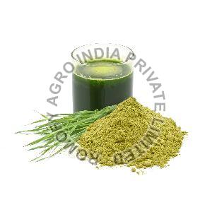 Wheatgrass Powder