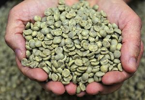 Dry Natural Polished (A18B) Arabica Green Coffee Beans