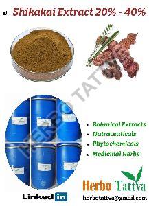 Shikakai Acacia Concinna Extract 25%