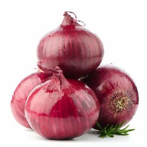 fresh onion