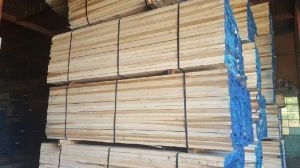 poplar wood