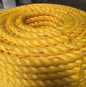danline rope