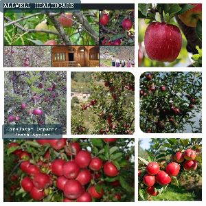 Himalayan Organic Fresh Apples