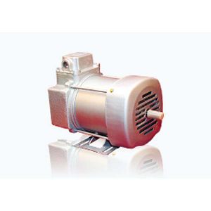 Explosion Proof Motor