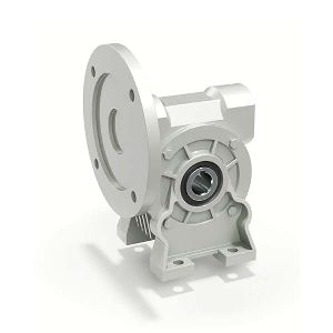 Universal Worm Gear Motor