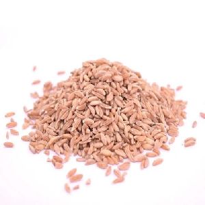 Samba Kurunai Wheat