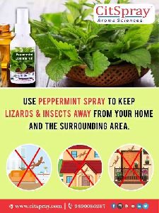 Peppermint essetial oil