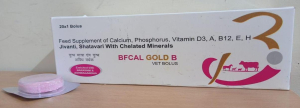 Calcium Bolus with Vitamin+Minerals