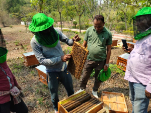 Bee Farming Services