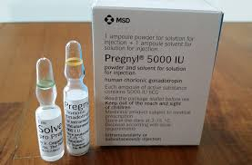 Pregnyl 5000 IU Injections