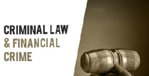 Criminal Law Attorneys