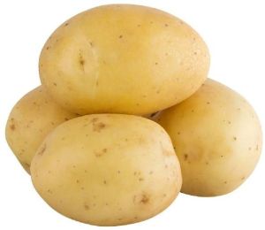 Potato