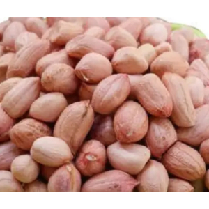 indian raw peanut
