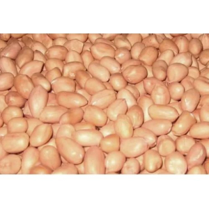 K3 Groundnuts (Kadiri 3 Groundnut Seeds)