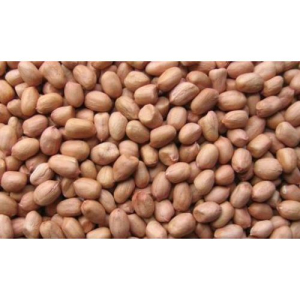 New Crop Indian Java/Tag Type Groundnut Kernels - 60/70 count