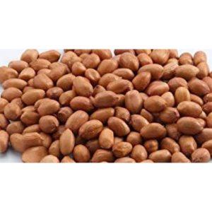Raw brown peanut seed