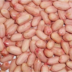 Raw organic red skin kernel peanut