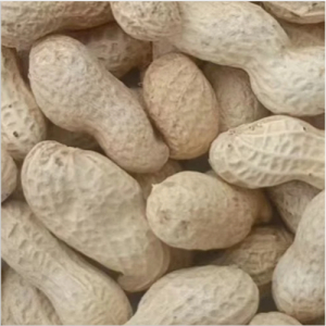 Whole Groundnut Shells, Packaging Type: Packed