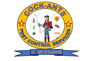 cockroach control services