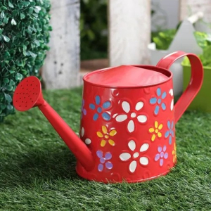 Decorative Water Can Pots