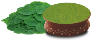 moringa leaves powder