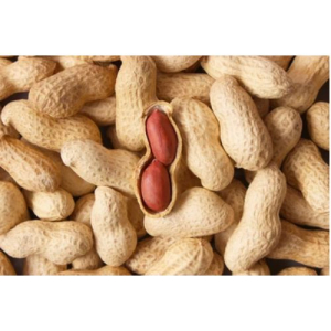Groundnut Peanuts,50 kg