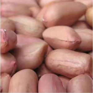 Raw Dried Peanut, Grade: A Grade, Packaging Size: 50 Kg
