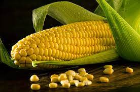 sweet corns