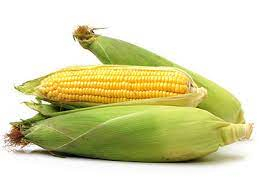 sweet maize