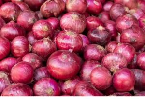 Onions