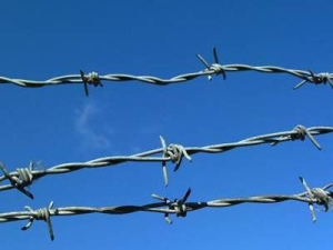 Concertina Barbed Wire